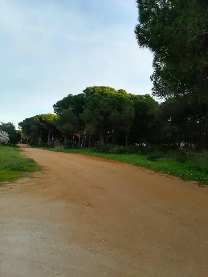 Quinta Das Palmeiras Quarteira Holiday home