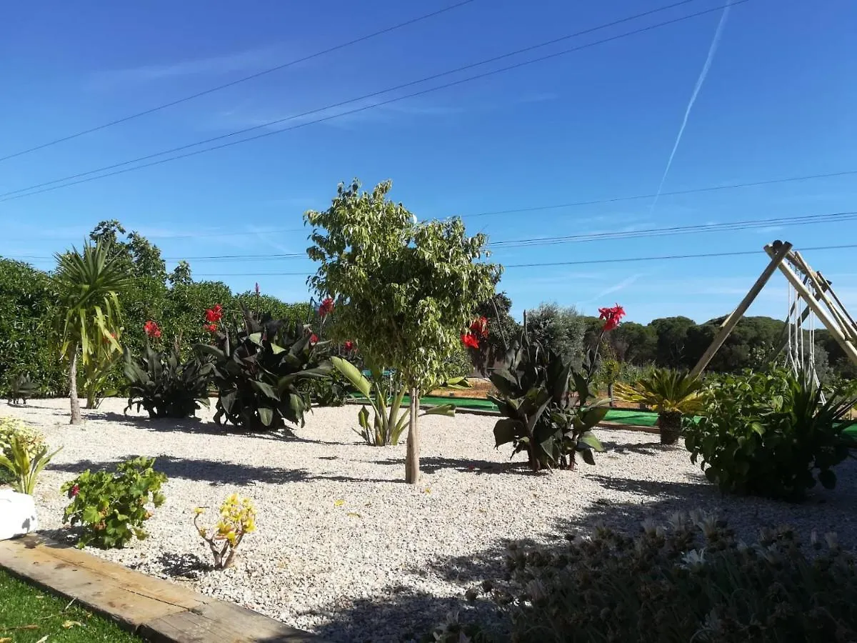 Quinta Das Palmeiras Quarteira Holiday home
